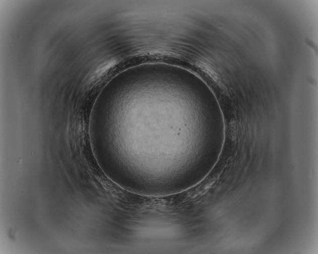 X0000091581111200708271214