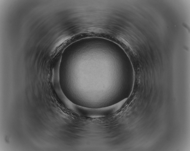 X0000091581112200708271214