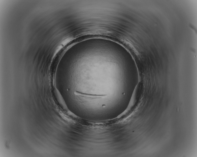 X0000091581114200708271214