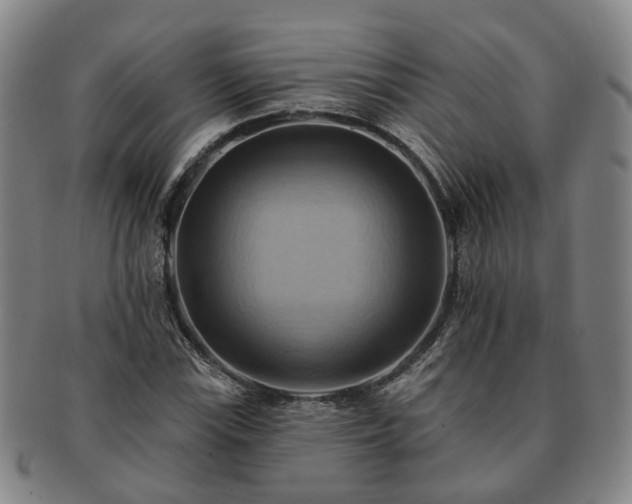X0000091581115200708271214