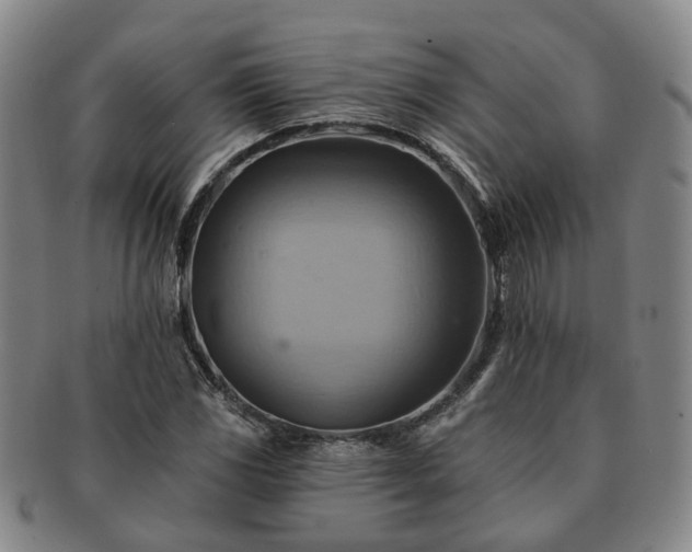 X0000091581117200708271214