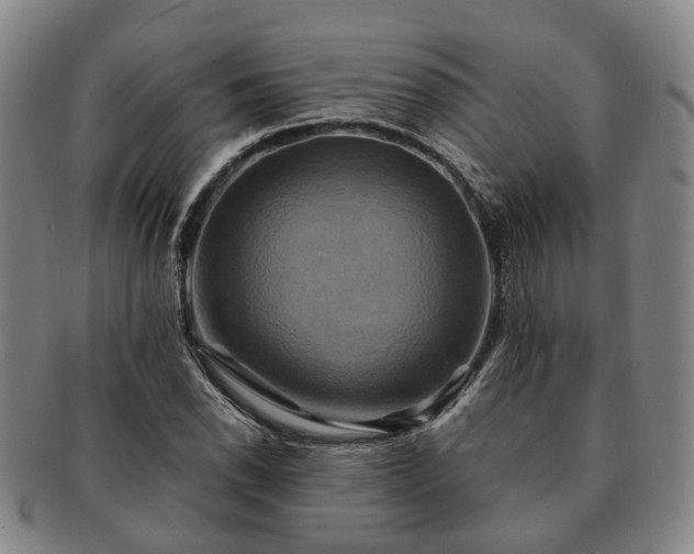 X0000091581118200708271214