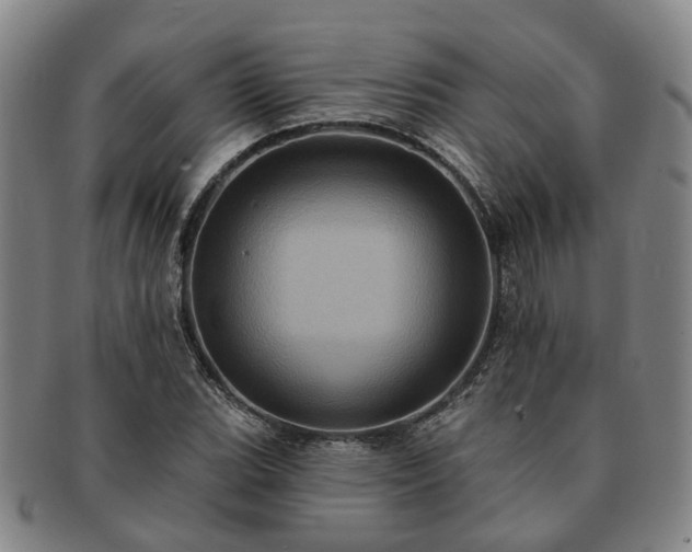 X0000091581119200708271214