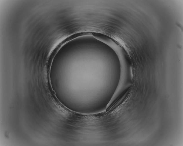 X0000091581120200708271214