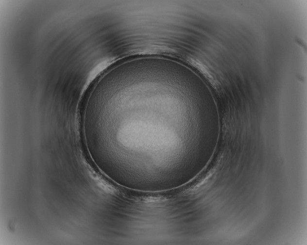 X0000091581122200708271214