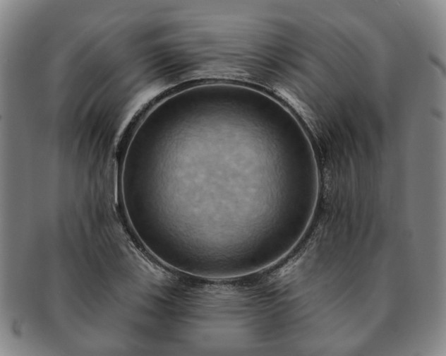 X0000091581123200708271214