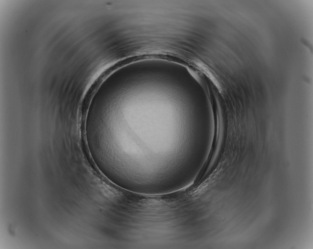 X0000091581124200708271214