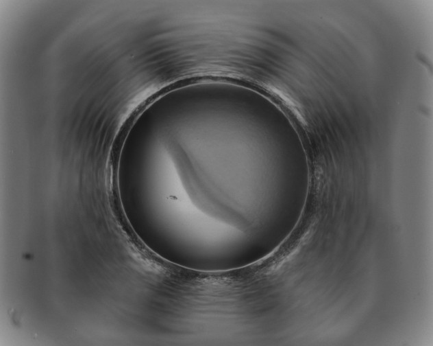 X0000091581125200708271214