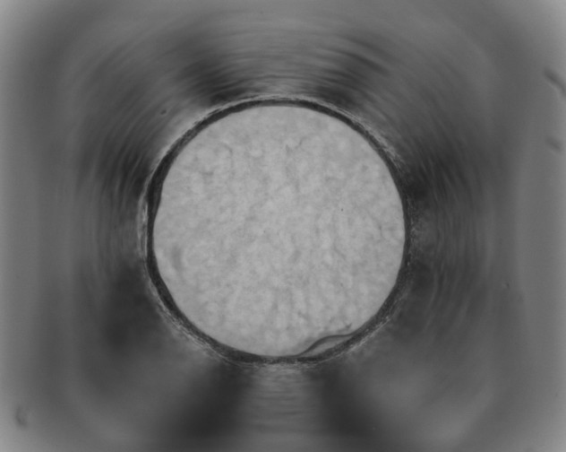X0000091581126200708271214