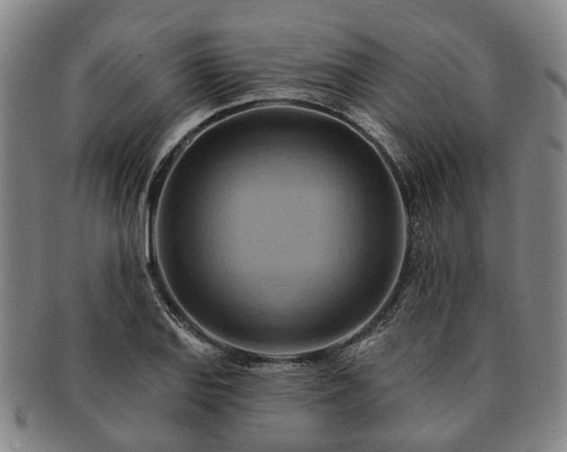 X0000091581127200708271214