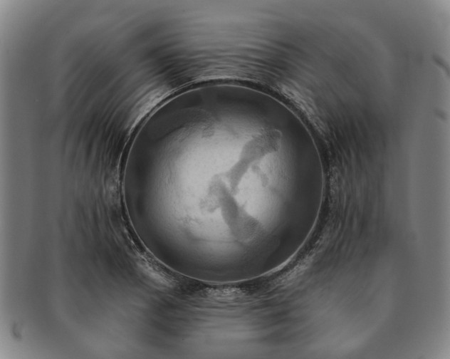 X0000091581129200708271214