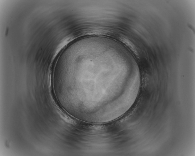 X0000091581130200708271214