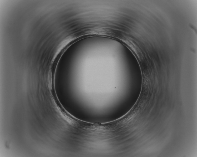 X0000091581131200708271214