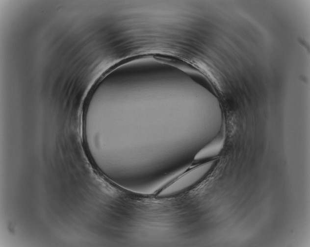 X0000091581132200708271214