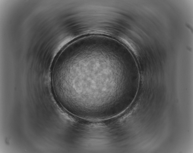 X0000091581133200708271214