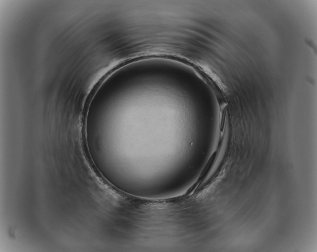X0000091581134200708271214