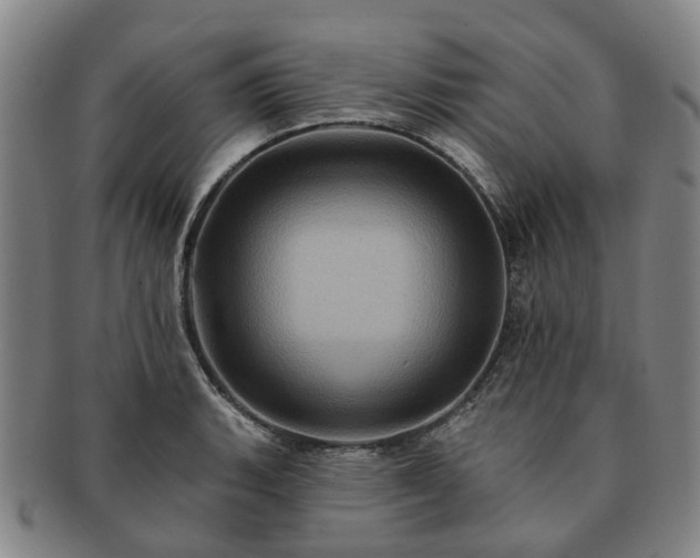 X0000091581135200708271214