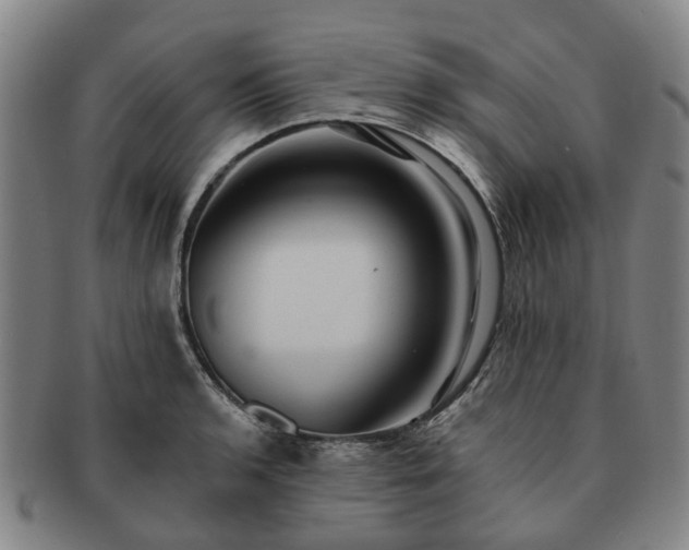 X0000091581136200708271214