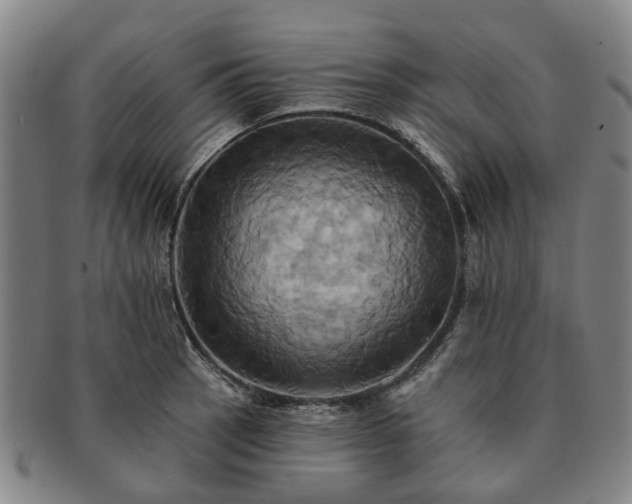 X0000091581137200708271214