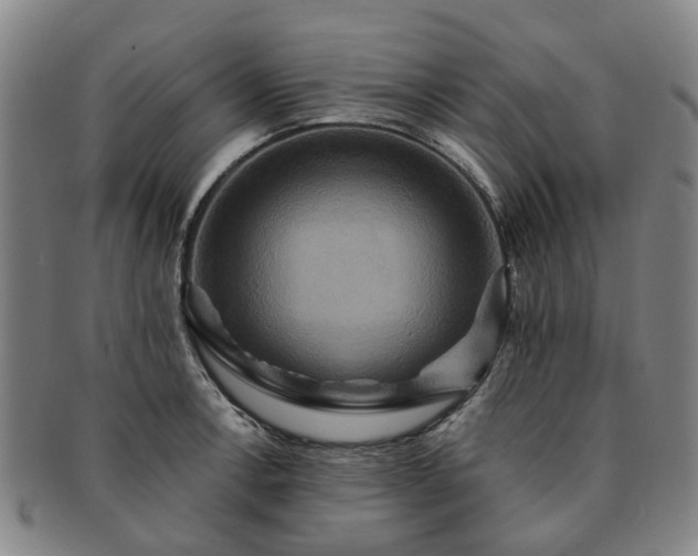 X0000091581138200708271214