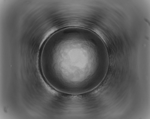 X0000091581139200708271214