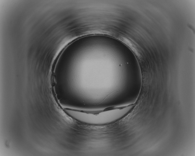 X0000091581140200708271214