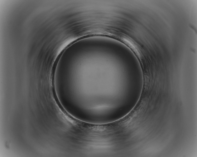X0000091581141200708271214