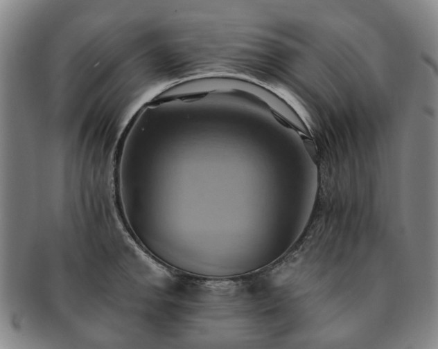X0000091581142200708271214