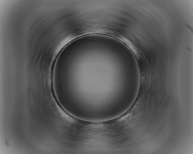 X0000091581143200708271214