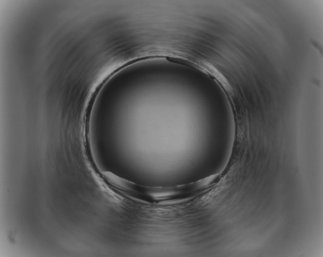 X0000091581144200708271214