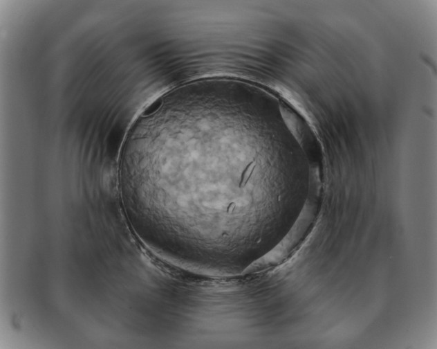 X0000091581145200708271215
