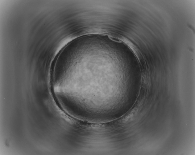 X0000091581147200708271215