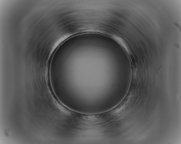 X0000091581149200708271215