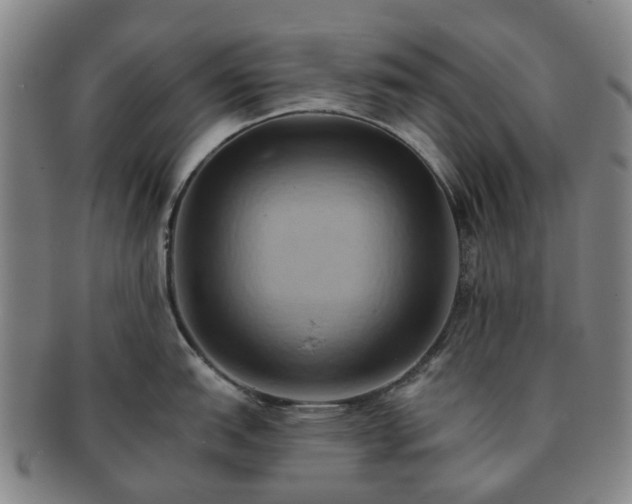 X0000091581151200708271215