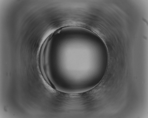 X0000091581152200708271215