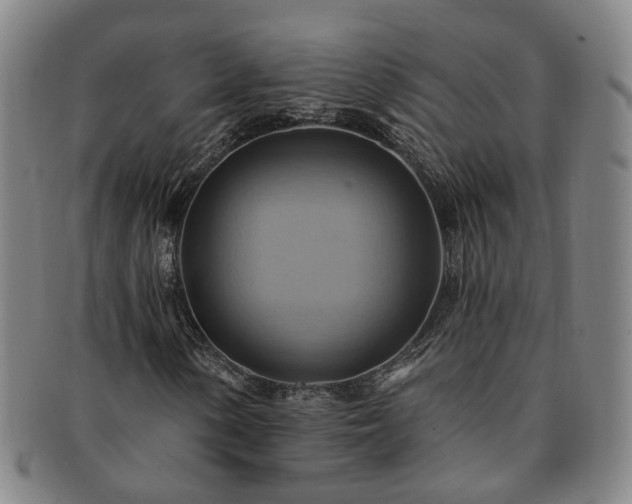 X0000091581154200708271214