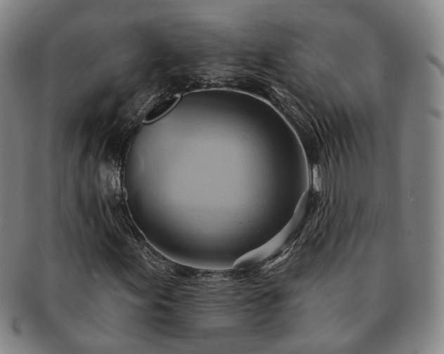X0000091581155200708271214