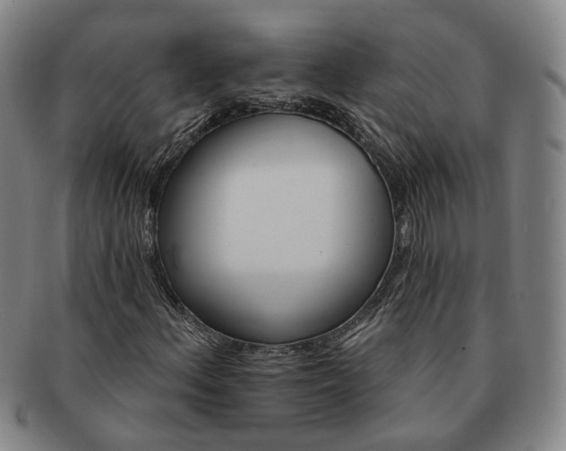 X0000091581156200708271214