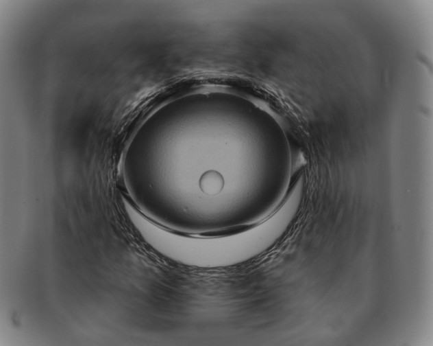 X0000091581157200708271214