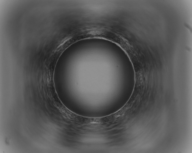 X0000091581158200708271214