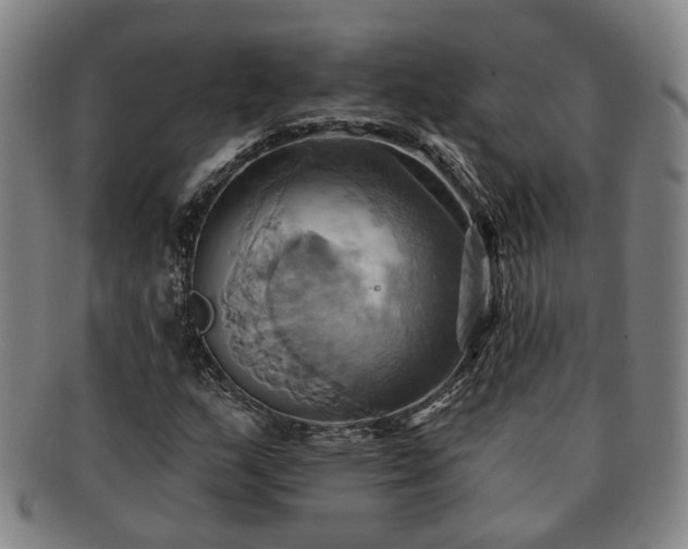 X0000091581159200708271214