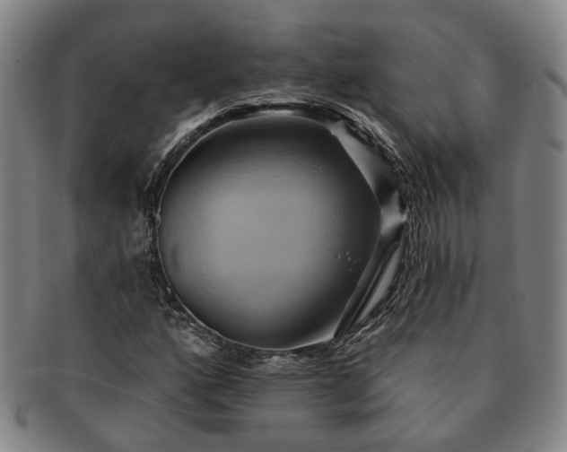 X0000091581160200708271214