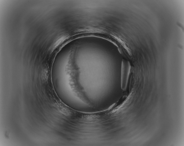 X0000091581163200708271214