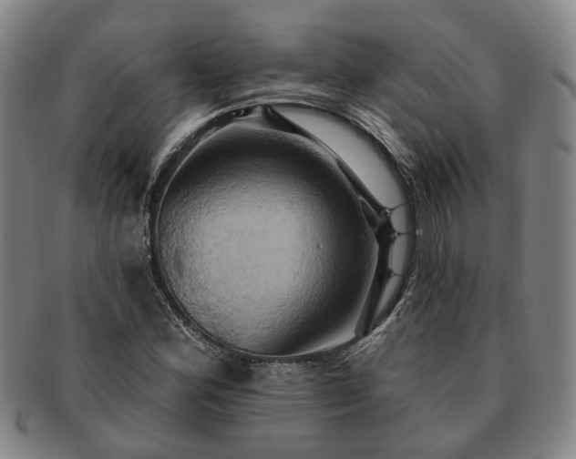 X0000091581164200708271214