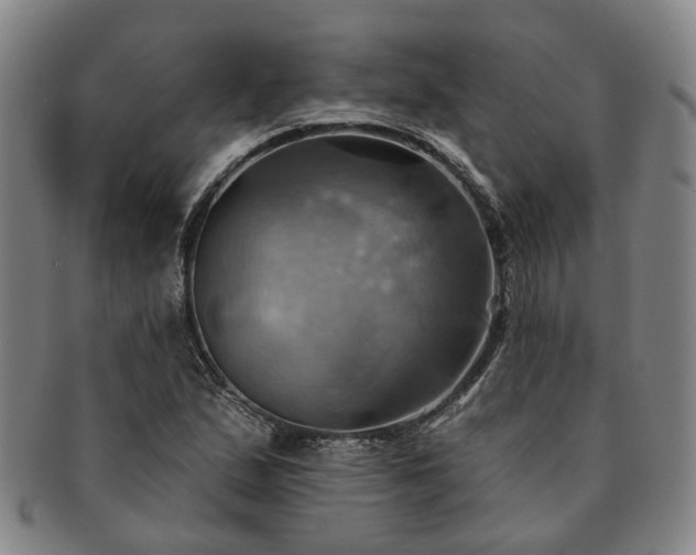X0000091581167200708271214