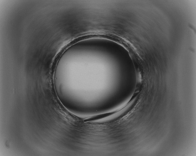 X0000091581168200708271214