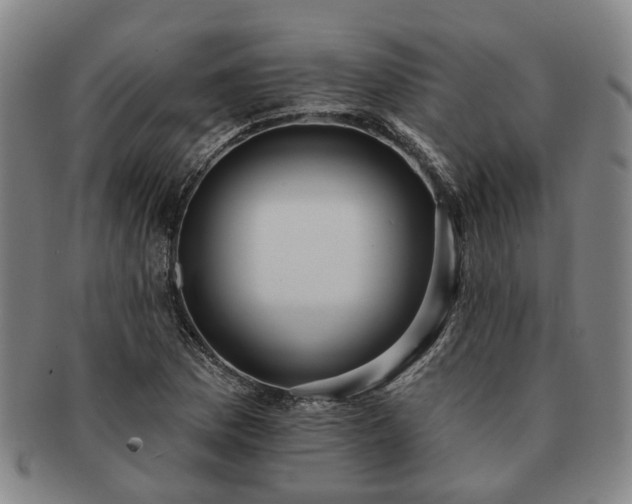 X0000091581169200708271214