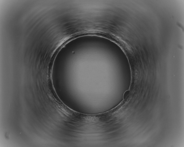 X0000091581170200708271214