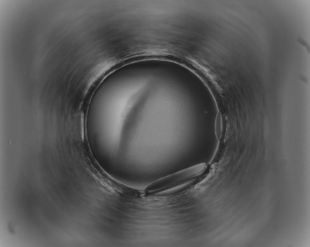 X0000091581171200708271214