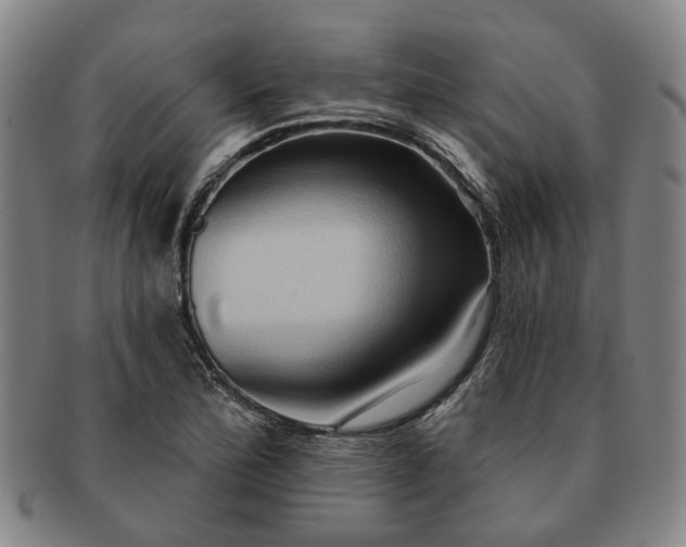 X0000091581172200708271214